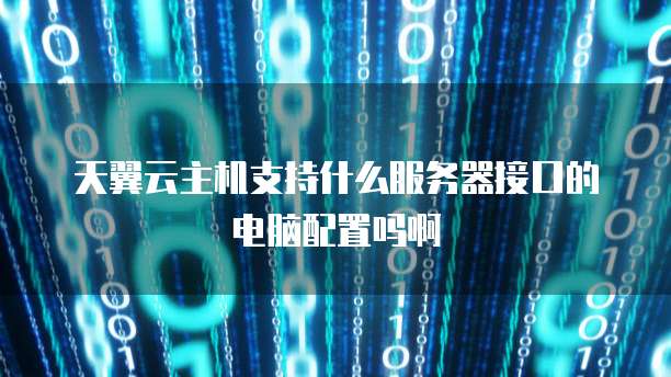 天翼云主机支持什么服务器接口的电脑配置吗啊