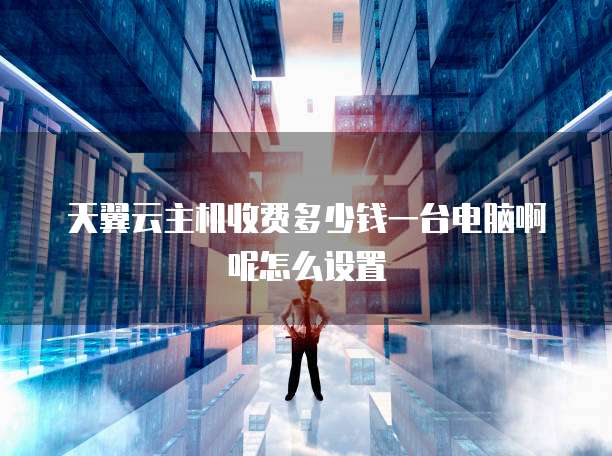 天翼云主机收费多少钱一台电脑啊呢怎么设置