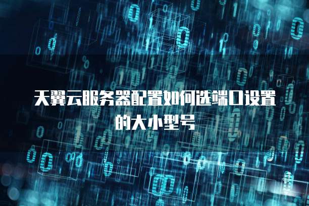 天翼云服务器配置如何选端口设置的大小型号