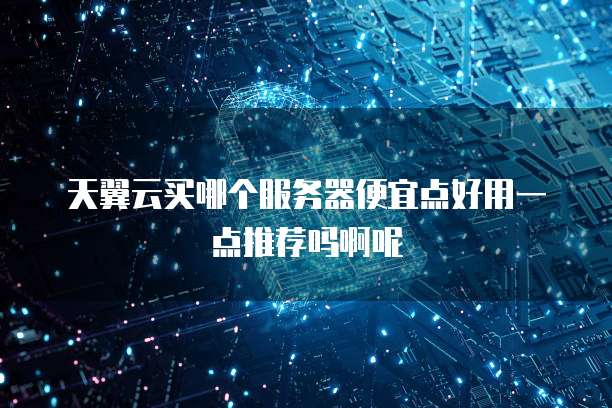 天翼云买哪个服务器便宜点好用一点推荐吗啊呢