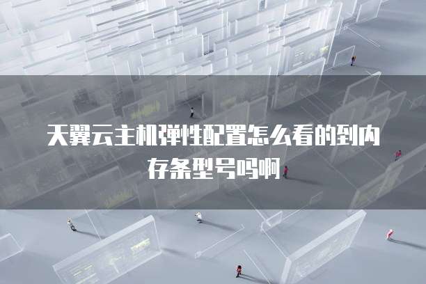 天翼云主机弹性配置怎么看的到内存条型号吗啊