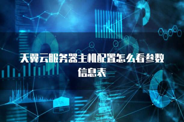 天翼云服务器主机配置怎么看参数信息表