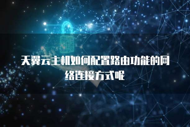 天翼云主机如何配置路由功能的网络连接方式呢