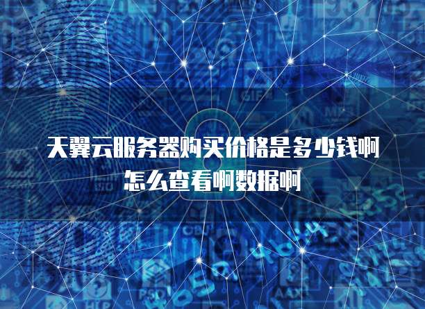 天翼云服务器购买价格是多少钱啊怎么查看啊数据啊
