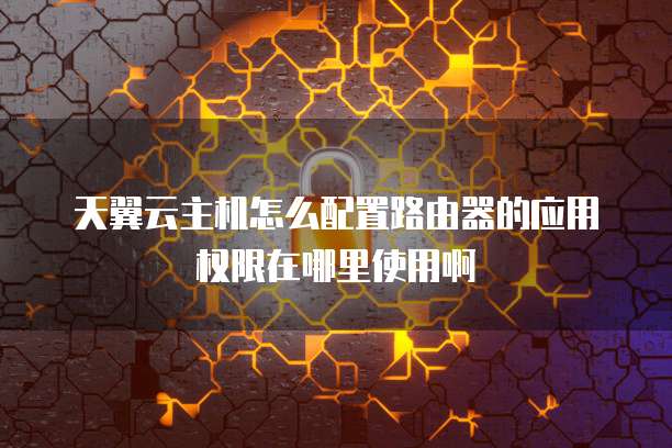 天翼云主机怎么配置路由器的应用权限在哪里使用啊