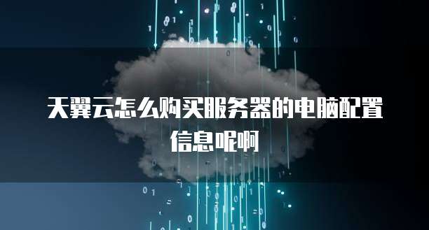 天翼云怎么购买服务器的电脑配置信息呢啊