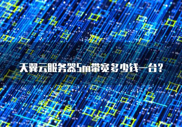 天翼云服务器5m带宽多少钱一台?