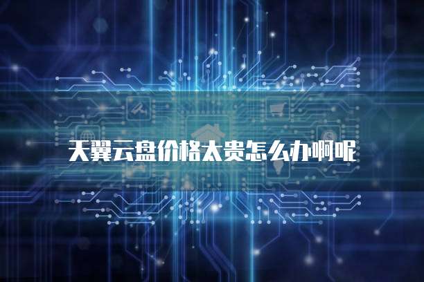 天翼云盘价格太贵怎么办啊呢