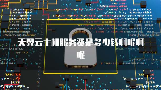 天翼云主机服务费是多少钱啊呢啊呢