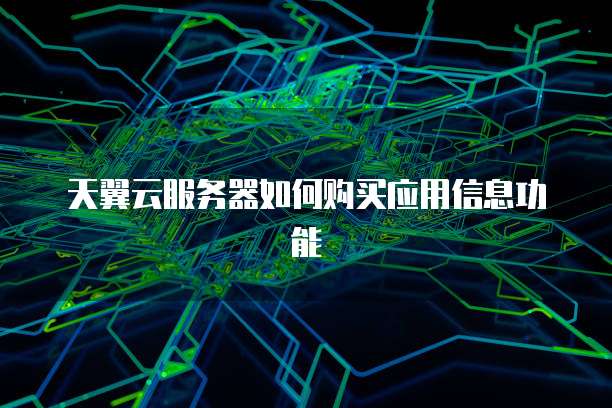 天翼云服务器如何购买应用信息功能