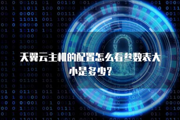 天翼云主机的配置怎么看参数表大小是多少?
