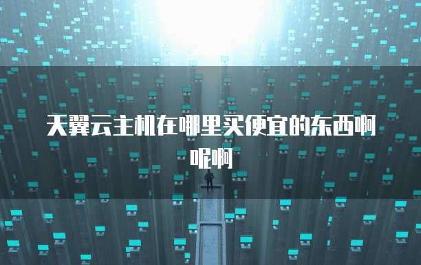 天翼云主机在哪里买便宜的东西啊呢啊