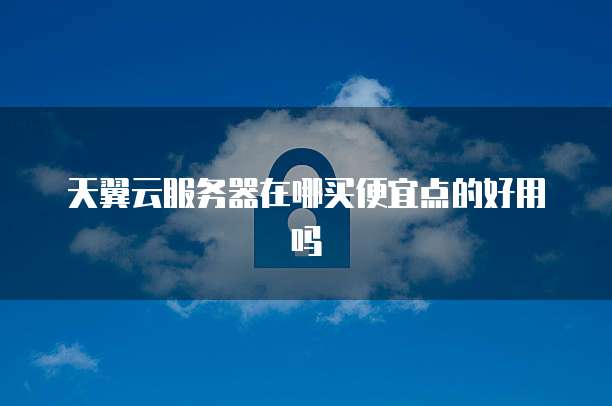 天翼云服务器在哪买便宜点的好用吗