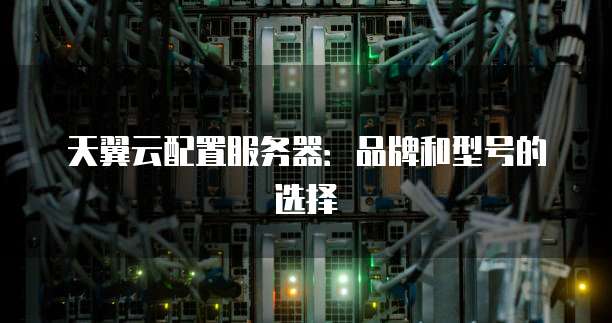 天翼云配置服务器:品牌和型号的选择