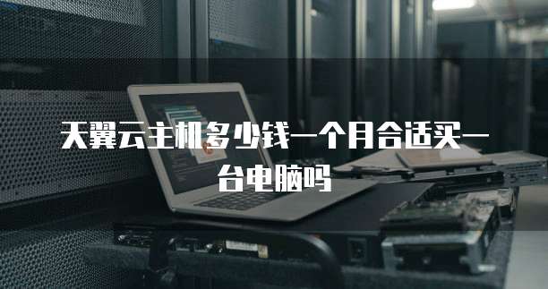 天翼云主机多少钱一个月合适买一台电脑吗