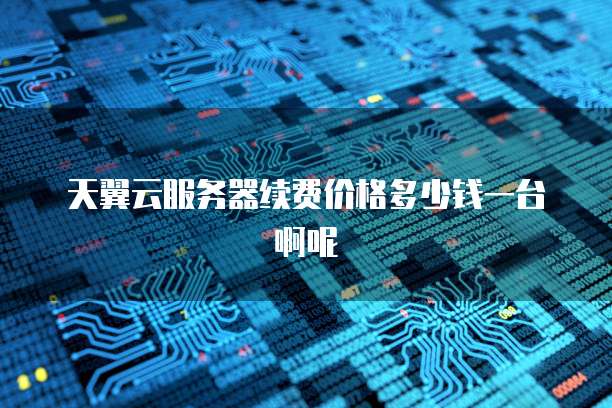 天翼云服务器续费价格多少钱一台啊呢