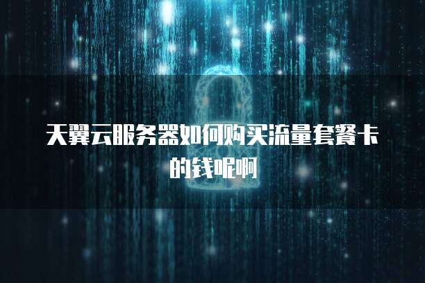 天翼云服务器如何购买流量套餐卡的钱呢啊