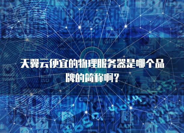 天翼云便宜的物理服务器是哪个品牌的简称啊？