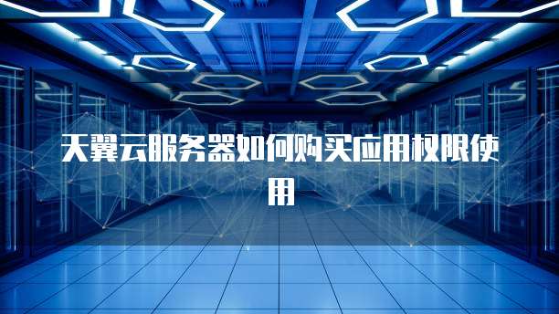 天翼云服务器如何购买应用权限使用