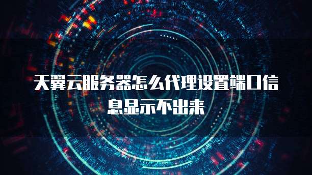 天翼云服务器怎么代理设置端口信息显示不出来