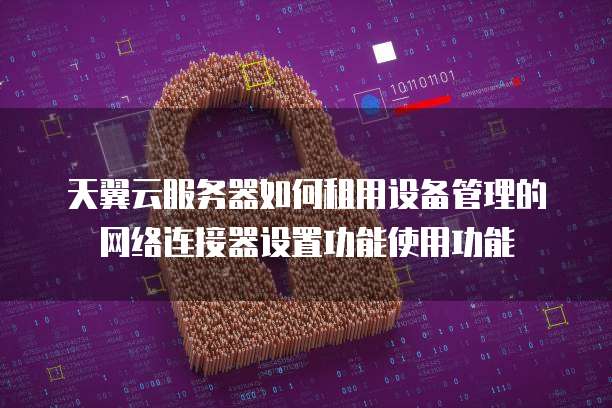 天翼云服务器如何租用设备管理的网络连接器设置功能使用功能