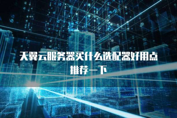 天翼云服务器买什么选配器好用点推荐一下