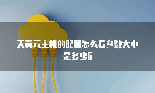 天翼云主机的配置怎么看参数大小是多少G
