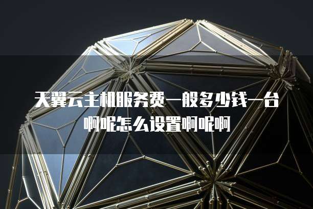 天翼云主机服务费一般多少钱一台啊呢怎么设置啊呢啊
