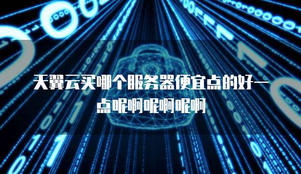 天翼云买哪个服务器便宜点的好一点呢啊呢啊呢啊