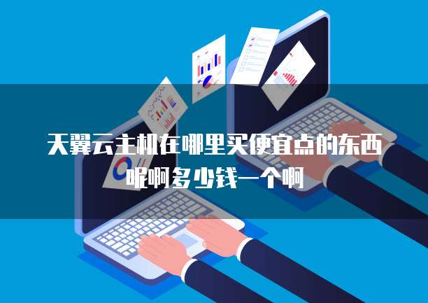 天翼云主机在哪里买便宜点的东西呢啊多少钱一个啊