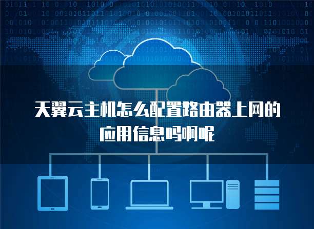 天翼云主机怎么配置路由器上网的应用信息吗啊呢