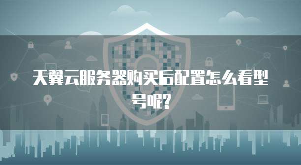 天翼云服务器购买后配置怎么看型号呢?