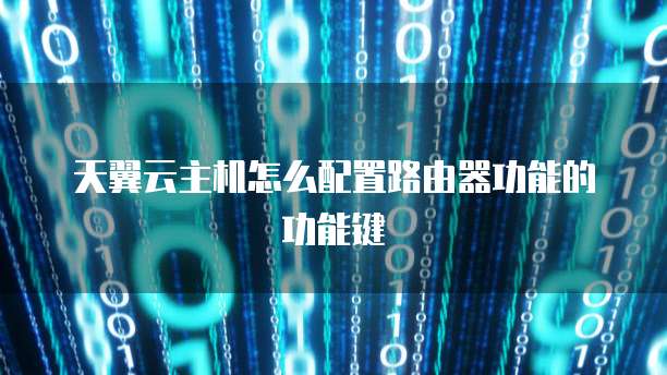 天翼云主机怎么配置路由器功能的功能键