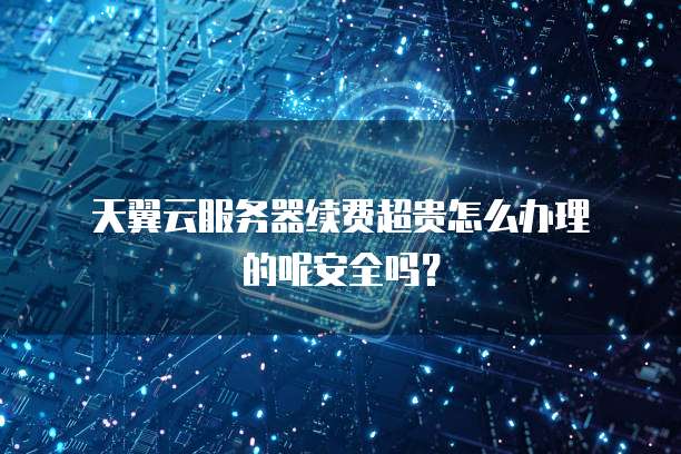 天翼云服务器续费超贵怎么办理的呢安全吗?