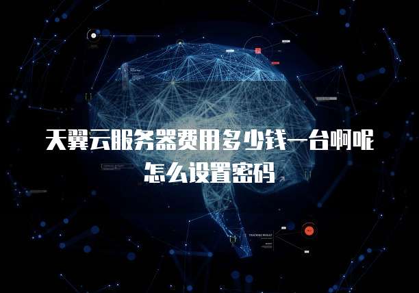 天翼云服务器费用多少钱一台啊呢怎么设置密码