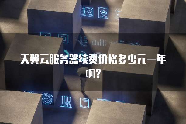 天翼云服务器续费价格多少元一年啊?