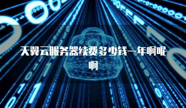 天翼云服务器续费多少钱一年啊呢啊