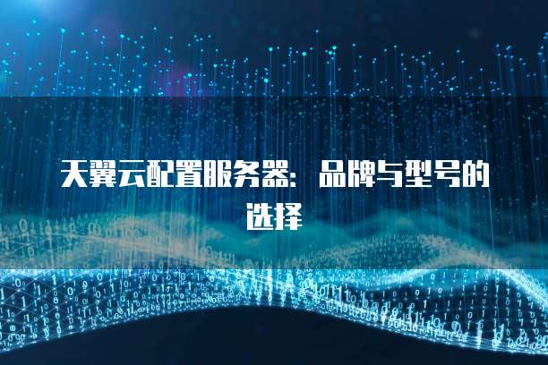 天翼云配置服务器:品牌与型号的选择