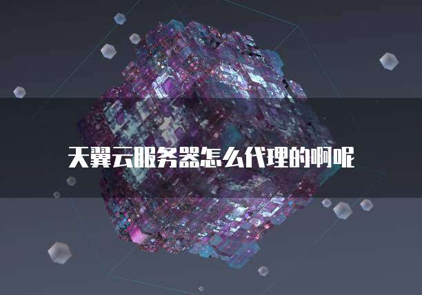 天翼云服务器怎么代理的啊呢
