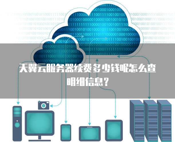 天翼云服务器续费多少钱呢怎么查明细信息?
