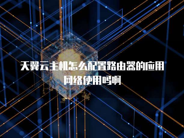 天翼云主机怎么配置路由器的应用网络使用吗啊