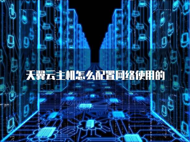 天翼云主机怎么配置网络使用的
