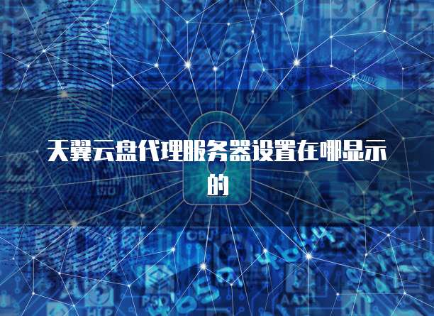 天翼云盘代理服务器设置在哪显示的