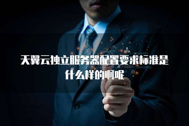 天翼云独立服务器配置要求标准是什么样的啊呢