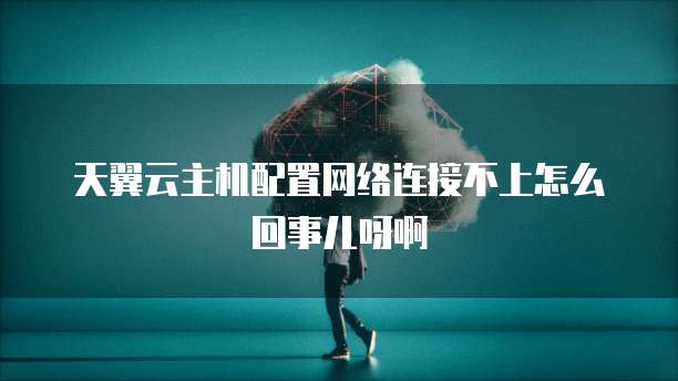 天翼云主机配置网络连接不上怎么回事儿呀啊