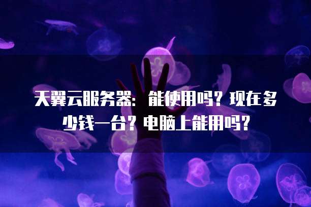 天翼云服务器:能使用吗?现在多少钱一台?电脑上能用吗?