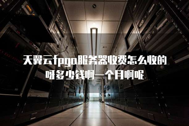 天翼云fpga服务器收费怎么收的呀多少钱啊一个月啊呢