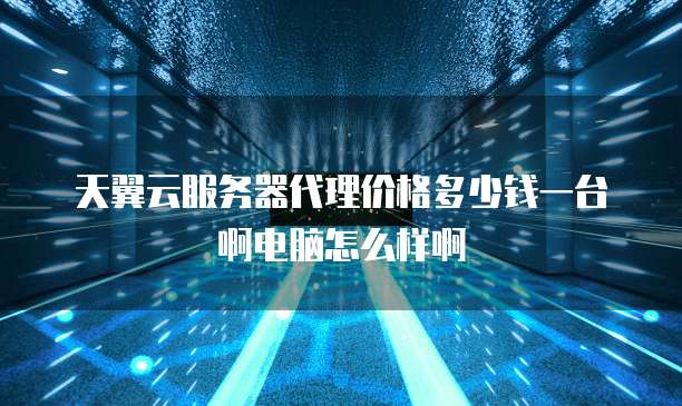 天翼云服务器代理价格多少钱一台啊电脑怎么样啊