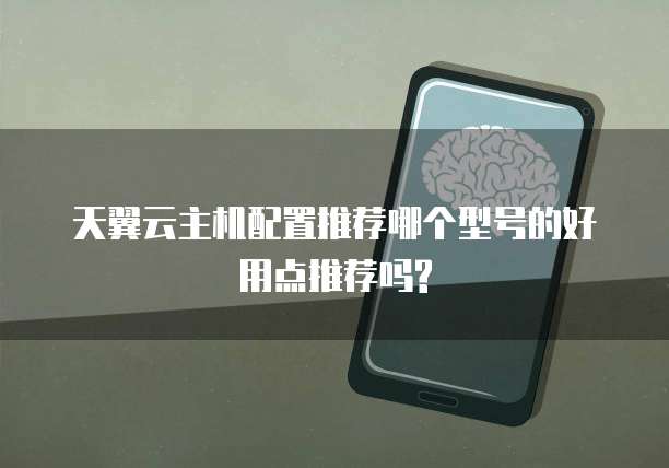 天翼云主机配置推荐哪个型号的好用点推荐吗?