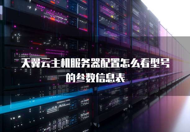 天翼云主机服务器配置怎么看型号的参数信息表